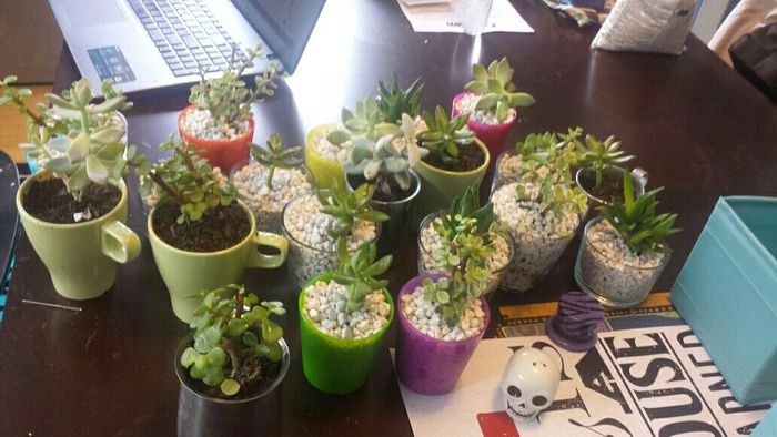 October brides and grooms!