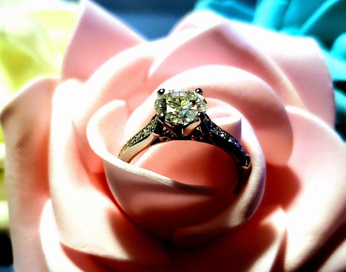 Shameless ring post 2