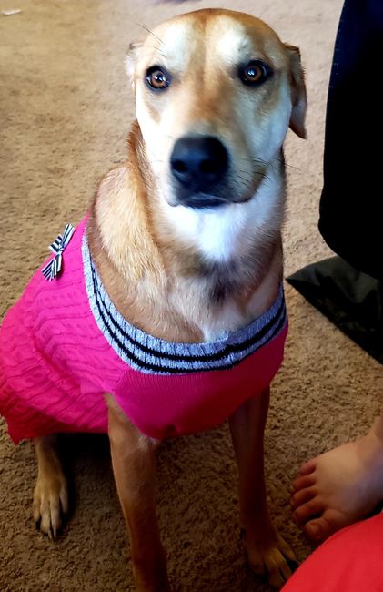 Show me your fur babies you and your SO have together! - 2