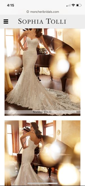 Customized Dress Help!! - 1