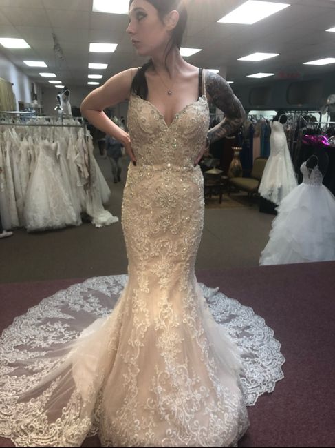 Customized Dress Help!! - 2