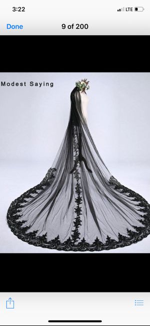 Veil, No Veil Photos - 4