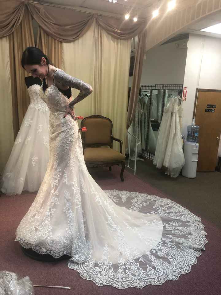 How many dresses have you tried on? - 1