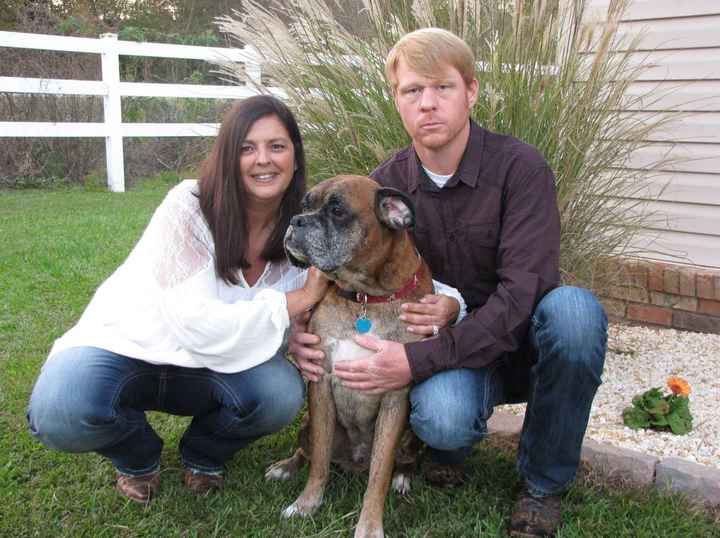 Fur Babies and Weddings! - 1