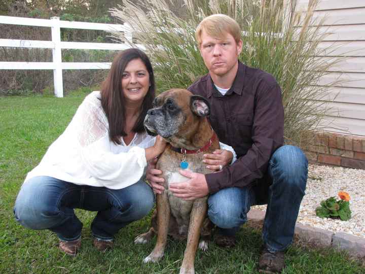 Are you including your pet in your engagement pictures? - 1