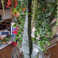 Bouquet Handle Help - 2