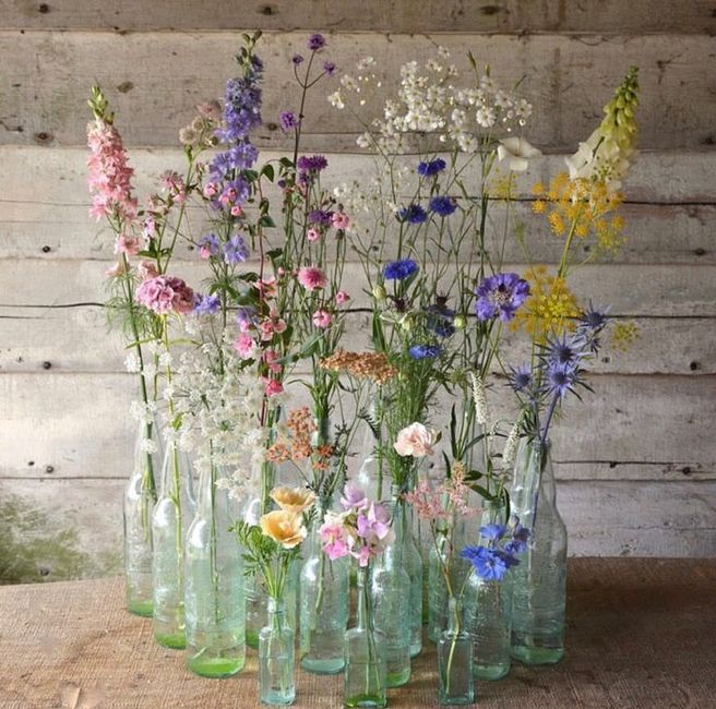 Flowers 💐 8