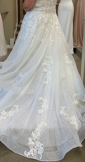 Just want to talk about my dress! - 4