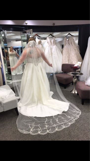 Chapel length or cathedral length veil? 3