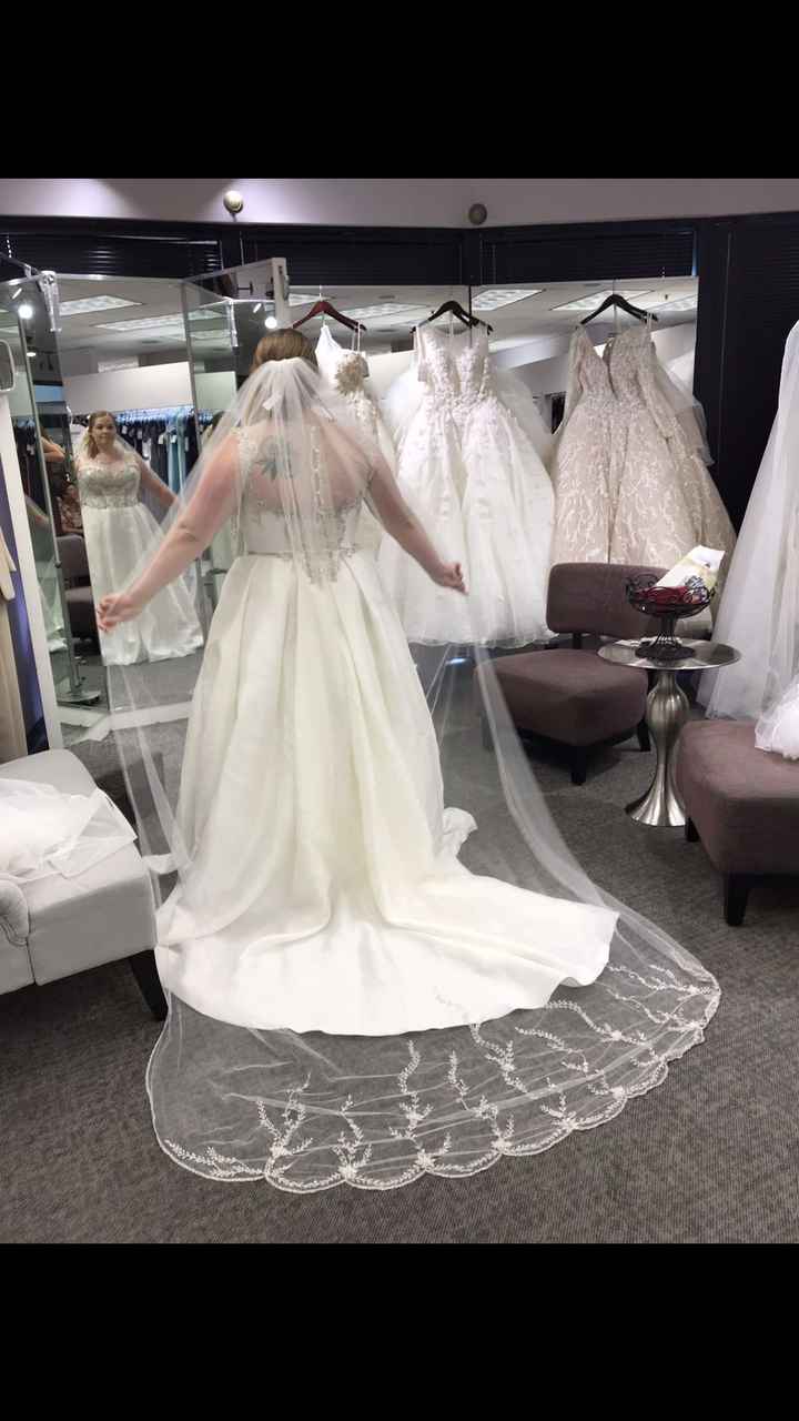 Cathedral or fingertip length veil? - 1