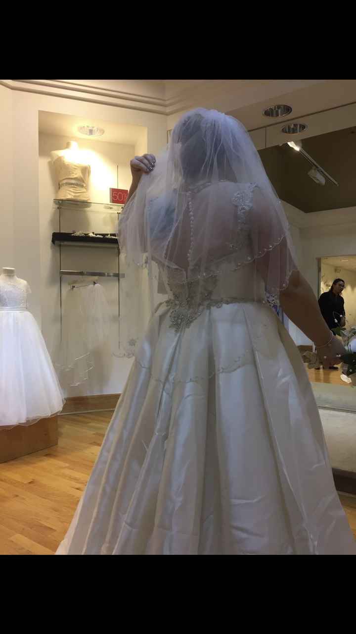 Cathedral or fingertip length veil? - 2