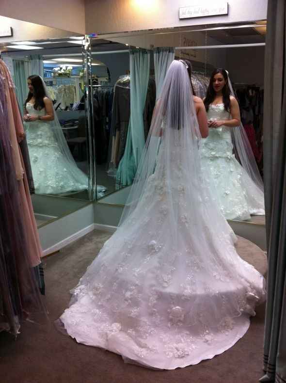 Veil suggestions? Length opinions?