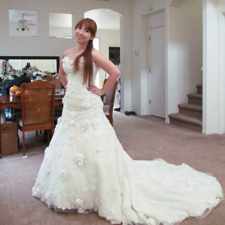 Veil suggestions? Length opinions?