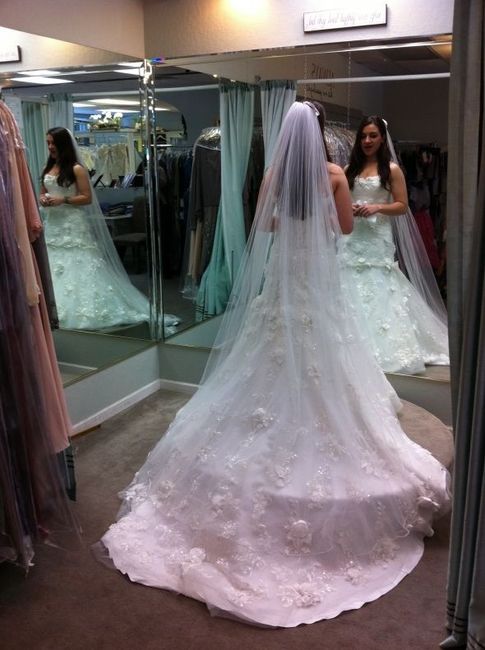 Veil suggestions? Length opinions?