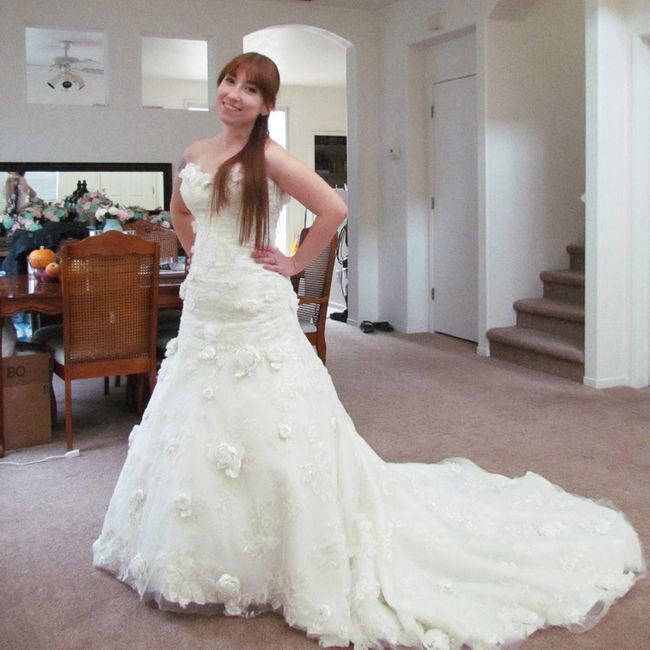 Veil suggestions? Length opinions?