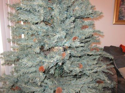 SHARE PICS OF YOUR FUR BABIES CHRISTMAS AND THEIR GIFTS!!!