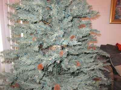 SHARE PICS OF YOUR FUR BABIES CHRISTMAS AND THEIR GIFTS!!!