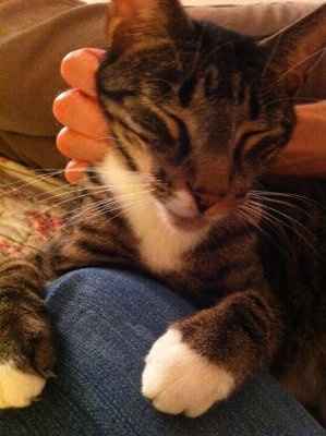 KWR-When I'm Stressed About Anything Wedding... This is my cure :D