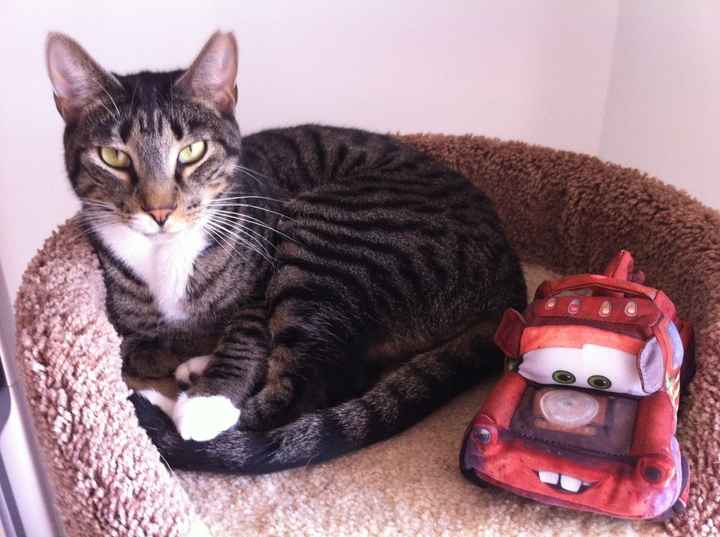 We've seen your rings, your dresses, your jewels.... show me your