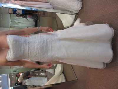 Dresses! Opinion? with photos