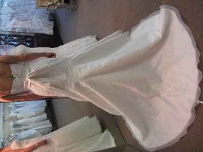 I BOUGHT MY DRESS!!! So exciting!  (picture)