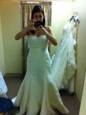 My dress is in!!! PIP