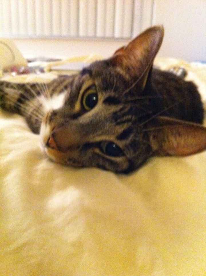 NWR: When it rains it pours....