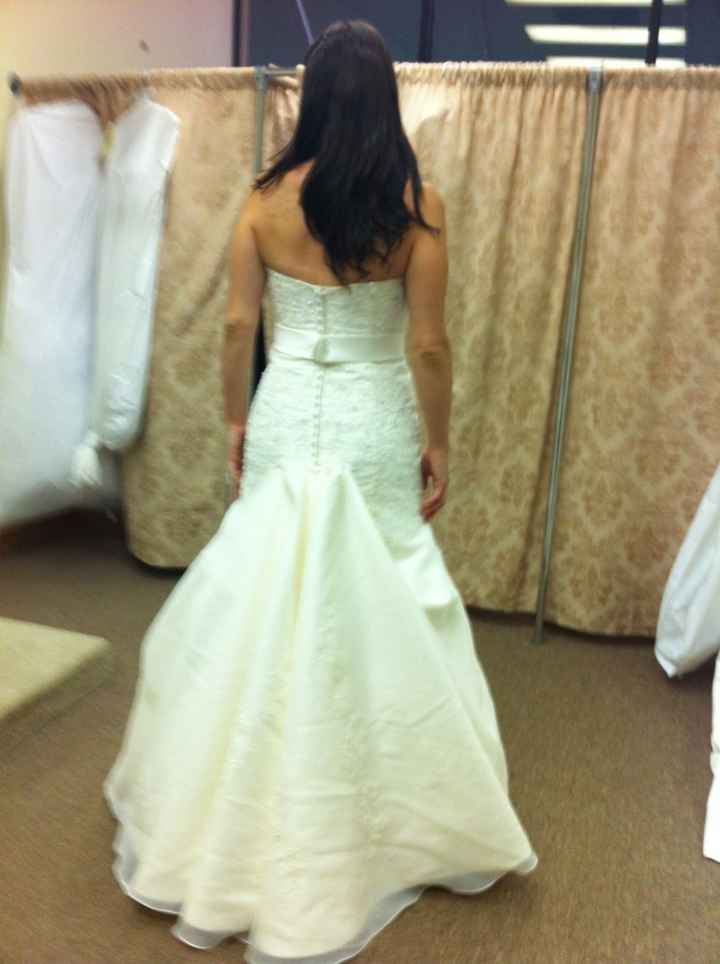 1st and 2nd dress fitting *pics included*