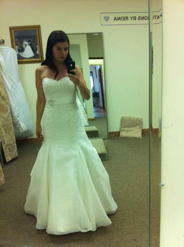 1st and 2nd dress fitting *pics included*