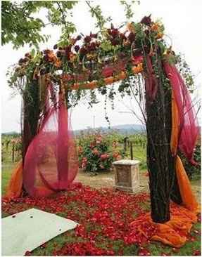 Orange & Purple Arch