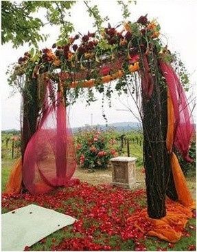 Orange & Purple Arch