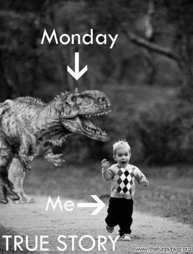 5 Stars!***** And Monday is coming...