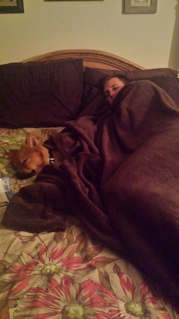 Why do I love my dog so much?
