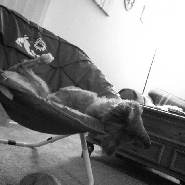NWR: Fursday Thursday