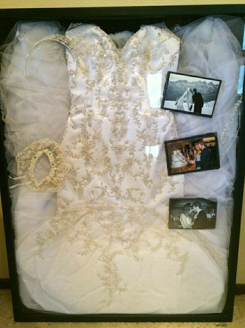 Dress Preservation - 1