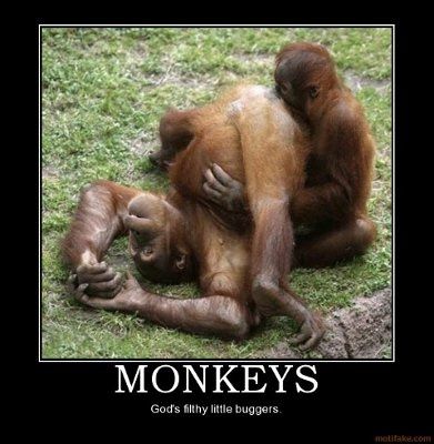 Just to Lighten the Mood a Bit (NWR)