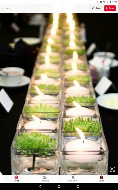 Centerpiece Struggle - 1