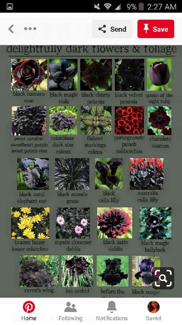 Need ideas for decor - 4