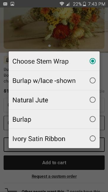 Fall flower help - 3