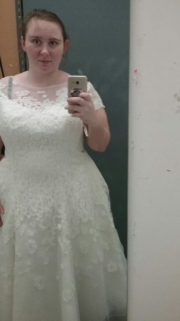 the dress 1