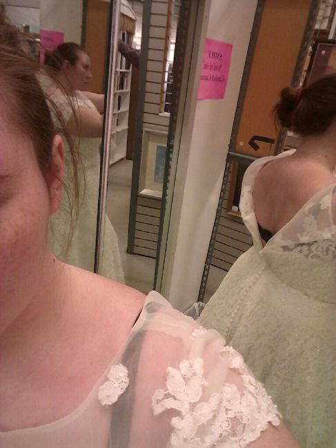 the dress - 1