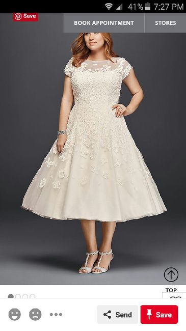 the dress - 1