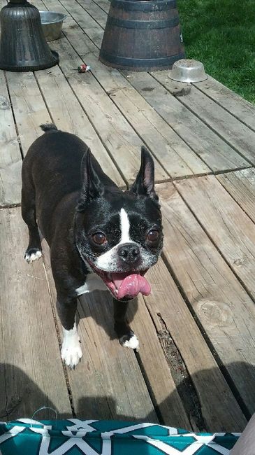 Wedding gift for future spouse? 1