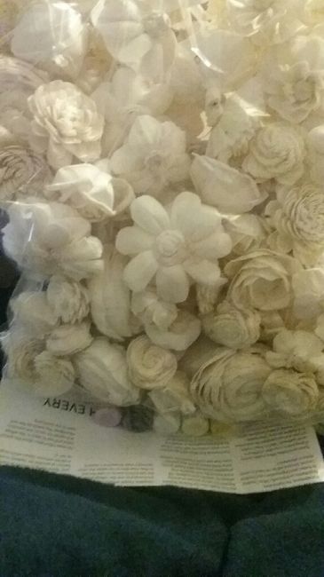 Yay flowers in! 2