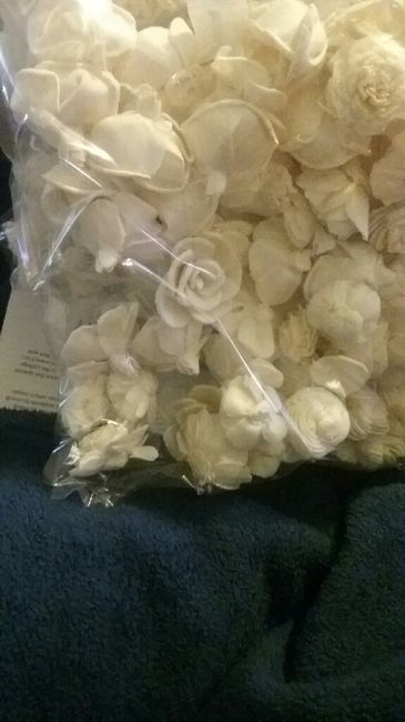 Yay flowers in! 3