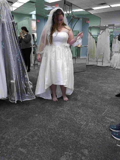 Any Plus Size Brides Out There? 2