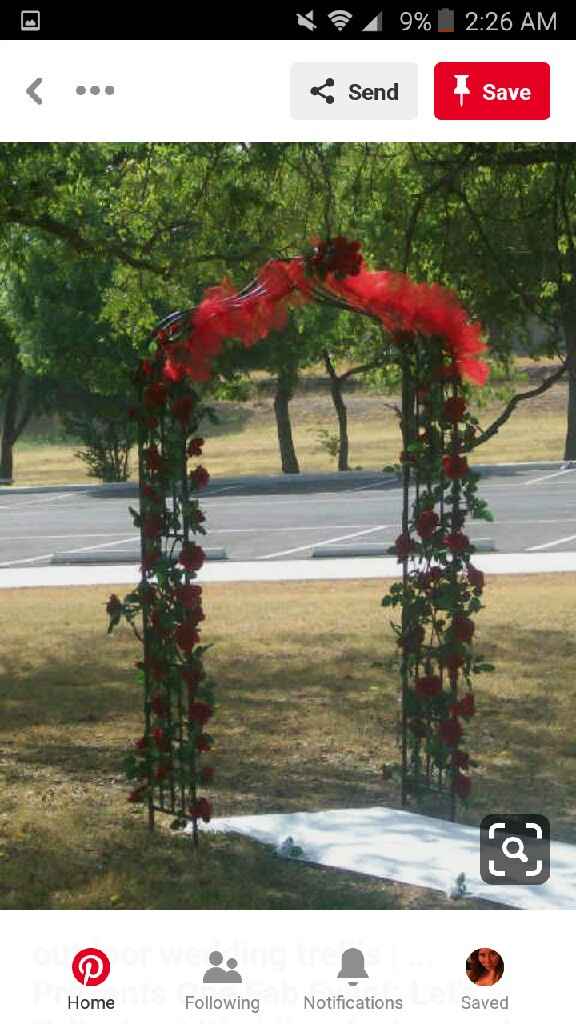 Need ideas for decor - 2