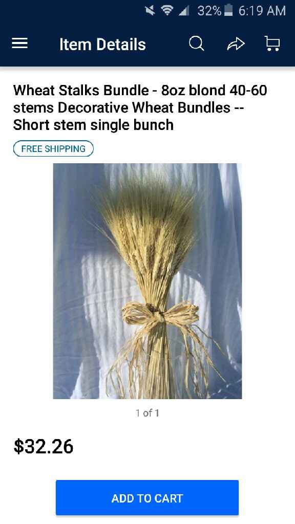 Wheat stalks? - 1