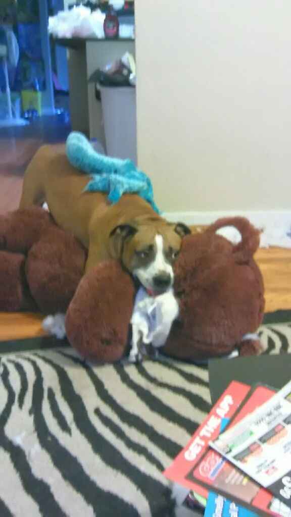 Blending Fur-families! - 3