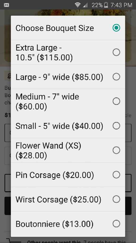 Fall flower help - 1